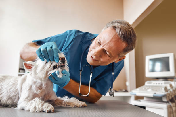 Best Emergency Tooth Extraction  in Ossian, IN